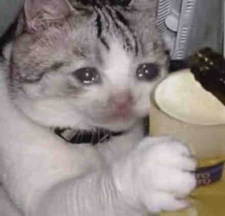 流泪猫猫头发表情gif搞笑图片