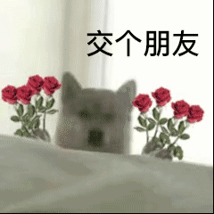 交个朋友发表情gif搞笑图片