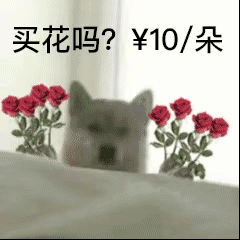 买花吗？10元一朵发表情gif搞笑图片