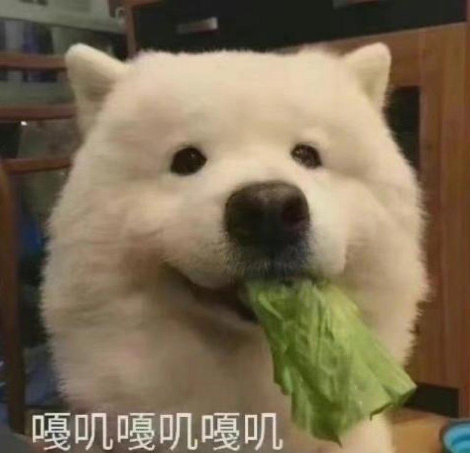 嘠叽嘠叽嘠叽发表情gif搞笑图片