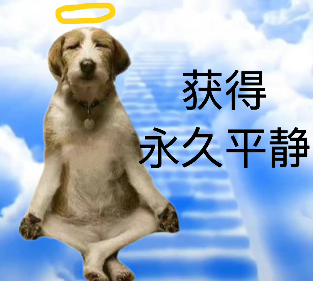 获得永久平静发表情gif搞笑图片