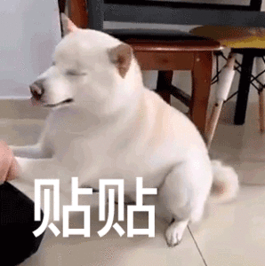 贴贴发表情gif搞笑图片