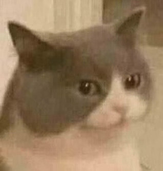 猫猫头表情包发表情gif搞笑图片