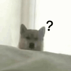 狗狗问号表情包发表情gif搞笑图片