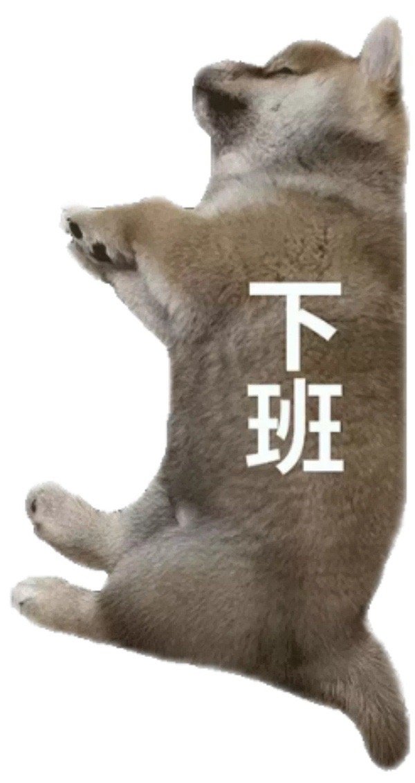 班发表情gif搞笑图片