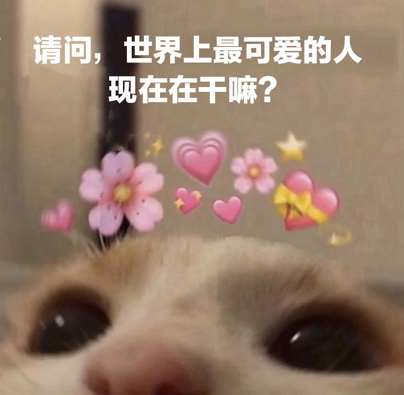 请问,世界上最可爱的人现在在干嘛?发表情gif搞笑图片