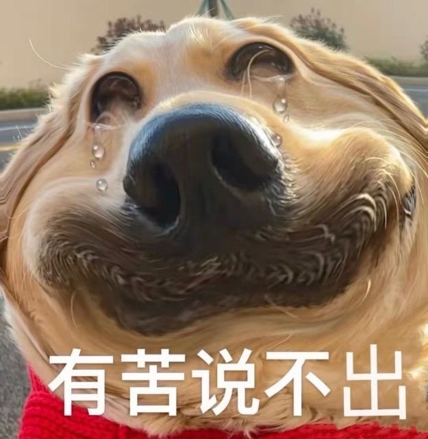 有苦说不出发表情gif搞笑图片