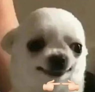 狗子揣手手表情包发表情gif搞笑图片