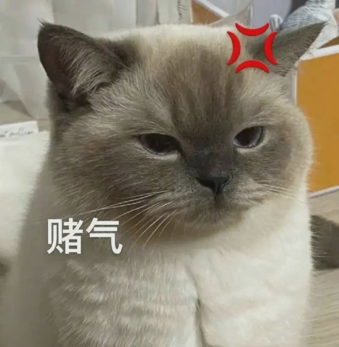 赌气发表情gif搞笑图片