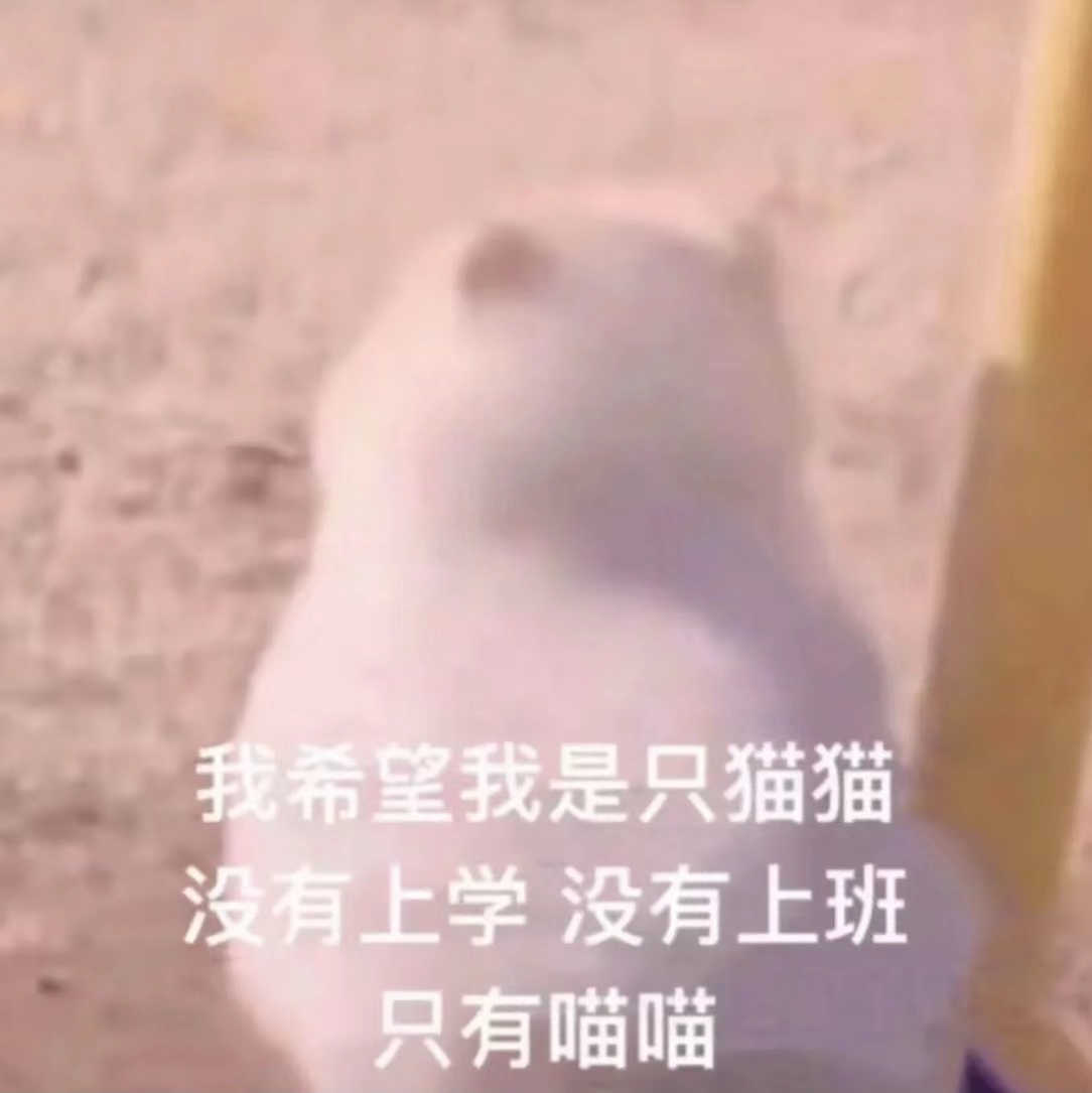 我希望我是只猫猫没有上学没有上班只有喵喵发表情gif搞笑图片