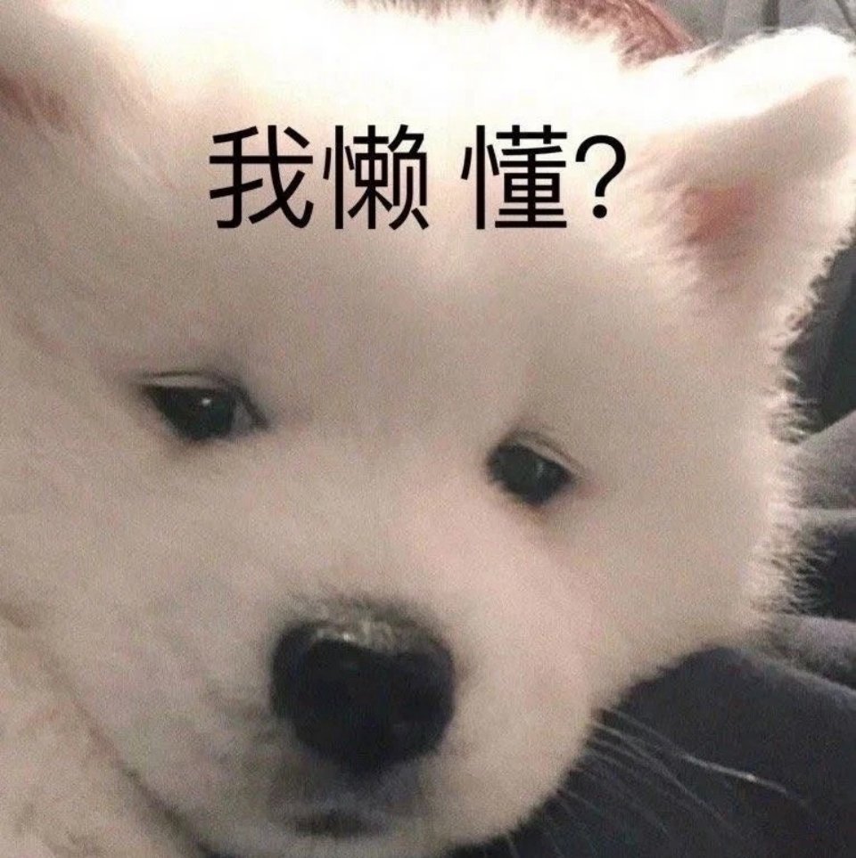 我懒懂?发表情gif搞笑图片