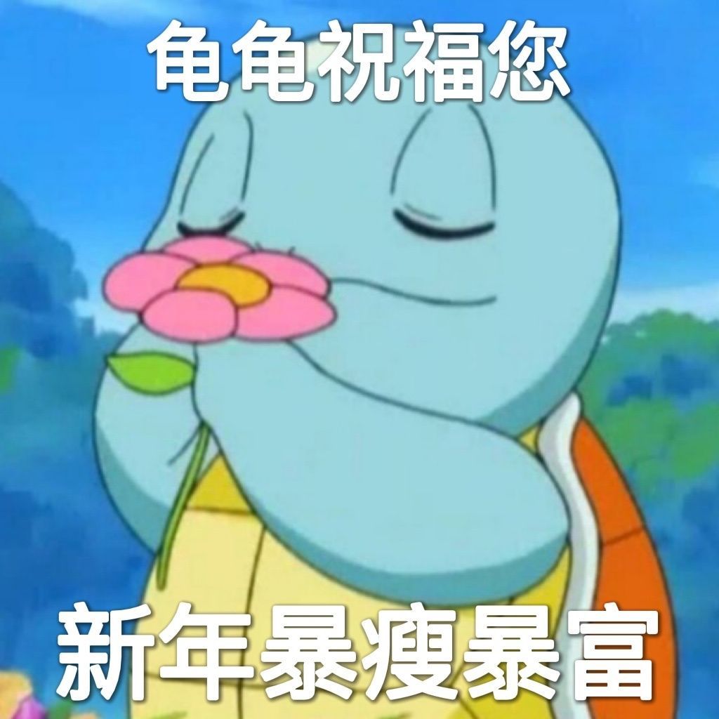 龟龟祝福您新年暴瘦暴富发表情gif搞笑图片