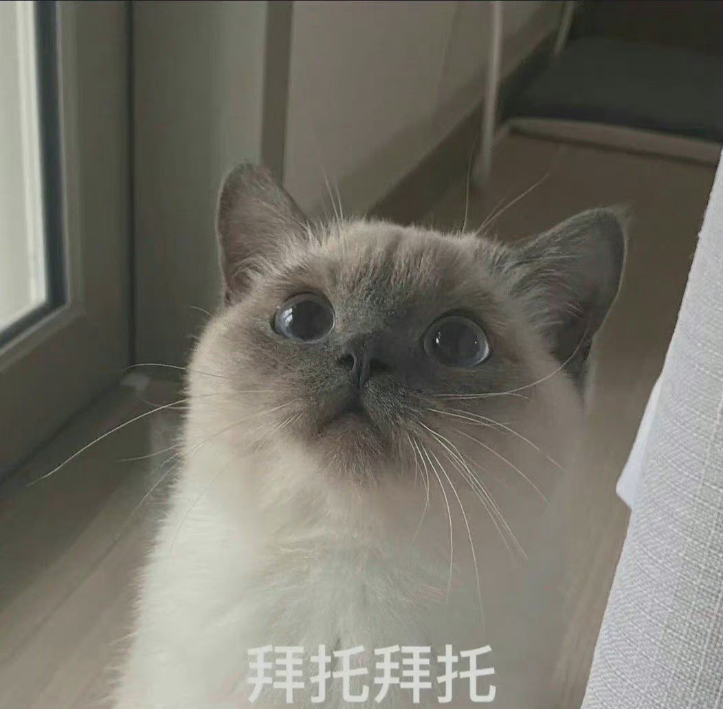 拜托拜托发表情gif搞笑图片