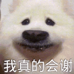 我真的会谢发表情gif搞笑图片