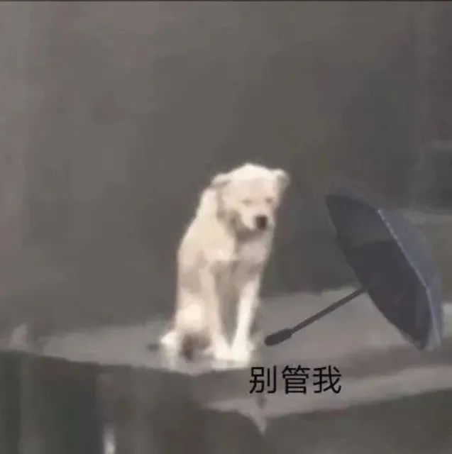别管我 修勾撑伞表情包发表情gif搞笑图片