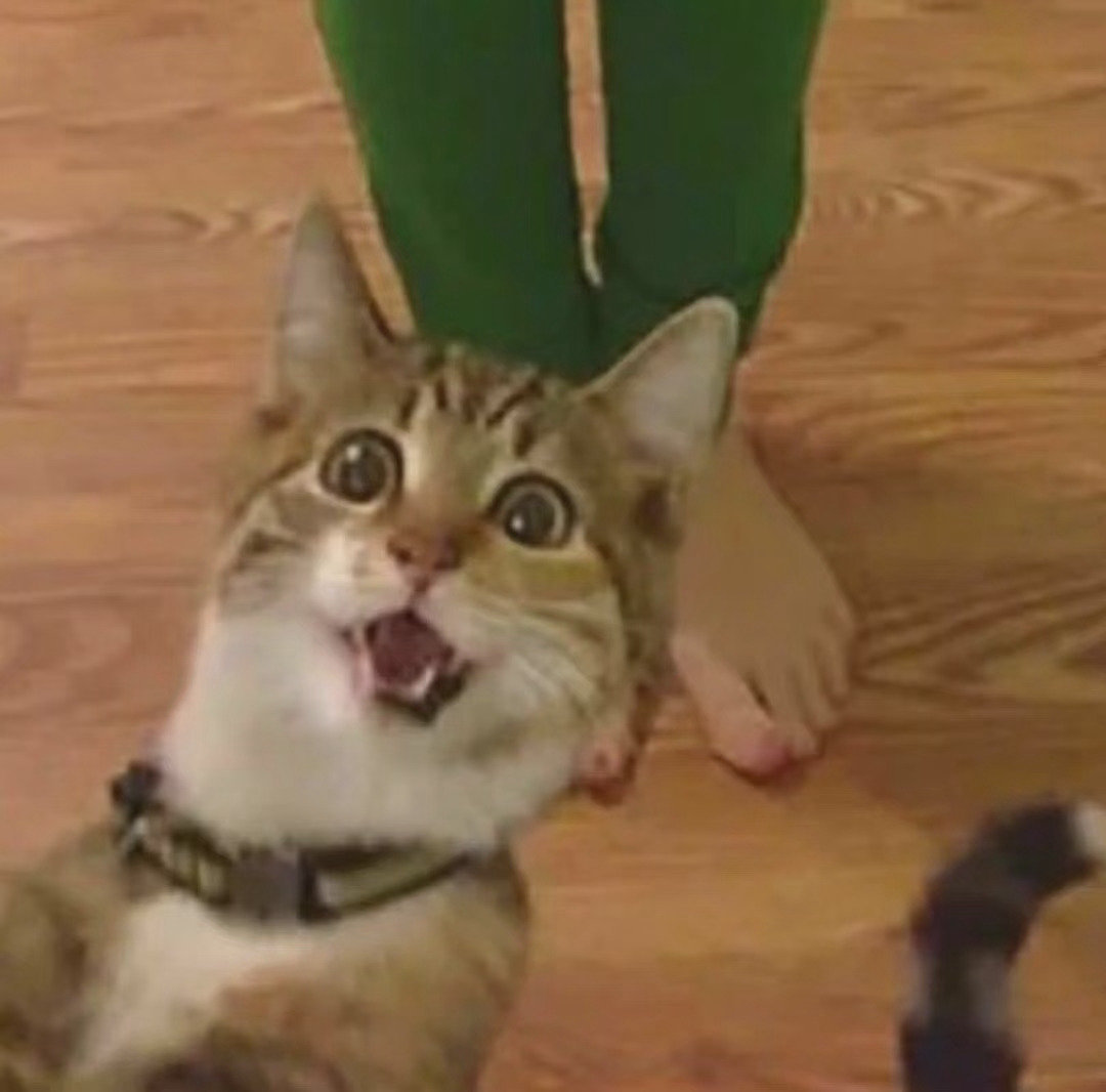 猫猫头表情包发表情gif搞笑图片