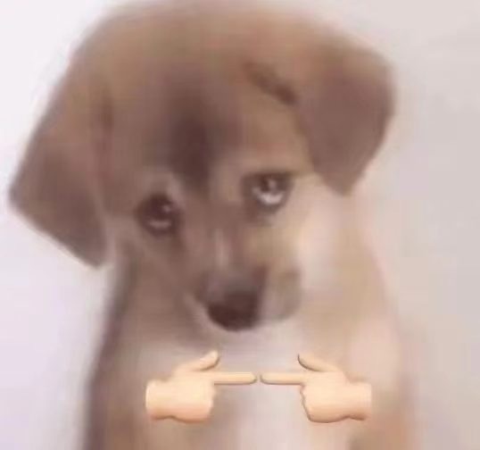 狗狗揣手手表情包发表情gif搞笑图片