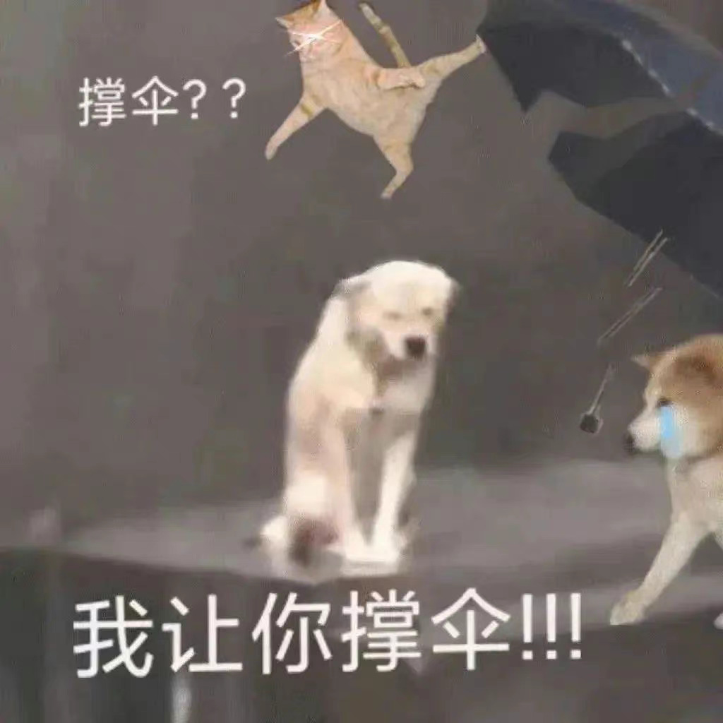 撑伞??我让你撑伞!发表情gif搞笑图片