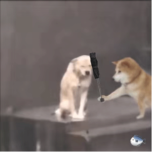 修勾撑伞动图表情包发表情gif搞笑图片