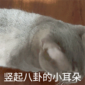 竖起八卦的小耳朵发表情gif搞笑图片