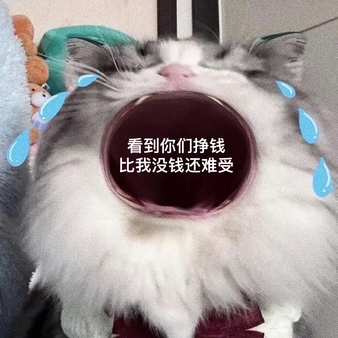 看到你们挣钱比我没钱还难受发表情gif搞笑图片