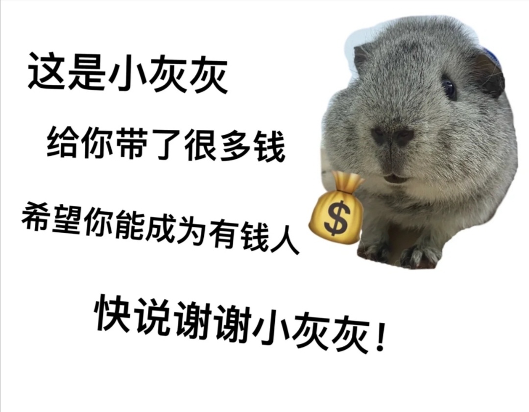 这是小灰灰给你带了很多钱希望你能成为有钱人快说谢谢小灰灰!发表情gif搞笑图片
