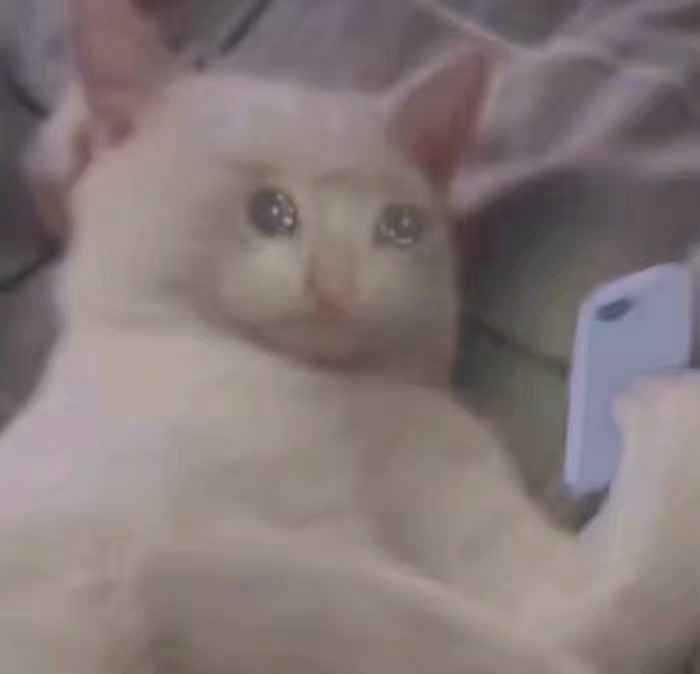 流泪猫猫头发表情gif搞笑图片