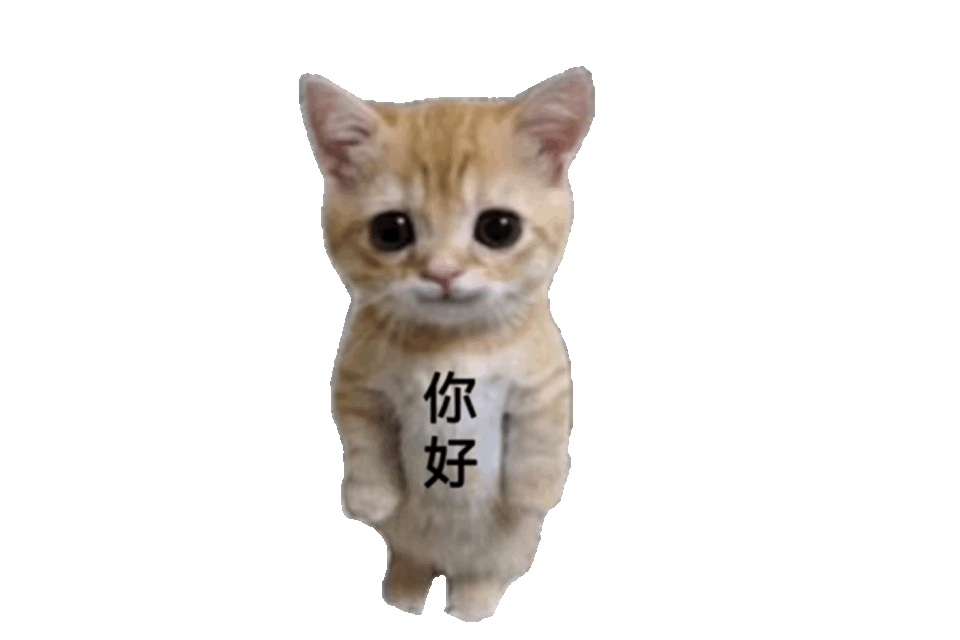 你好发表情gif搞笑图片