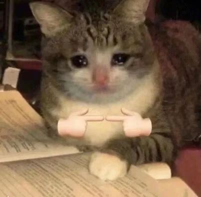 猫咪揣手手表情包发表情gif搞笑图片