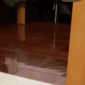 (宝  猫咪表情包)发表情gif搞笑图片