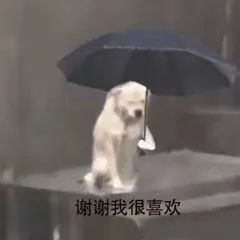 谢谢我很喜欢发表情gif搞笑图片