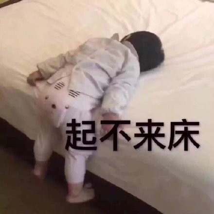 起不来床发表情gif搞笑图片