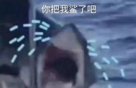 你把我鲨了吧发表情gif搞笑图片