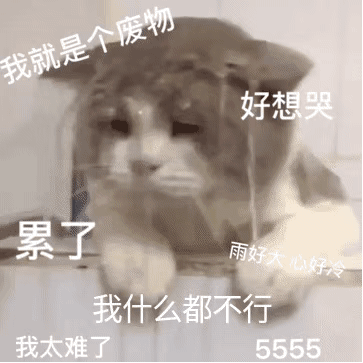 我就是个废物好想哭累了雨好大心好我什么都不行我太难了5555发表情gif搞笑图片