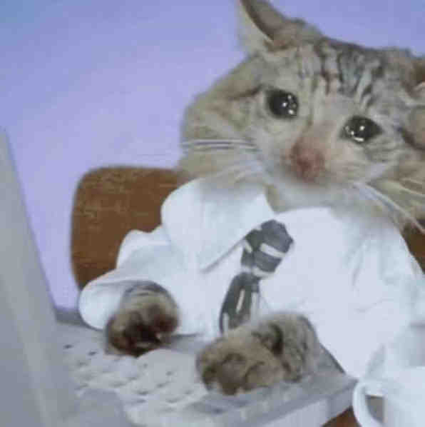 流泪猫猫头发表情gif搞笑图片