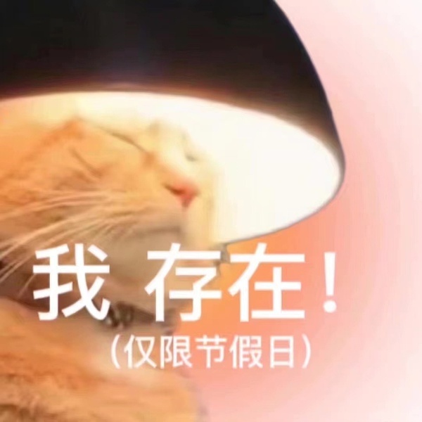 我存在(仅限节假日)发表情gif搞笑图片