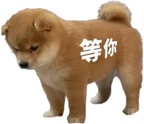 等你发表情gif搞笑图片