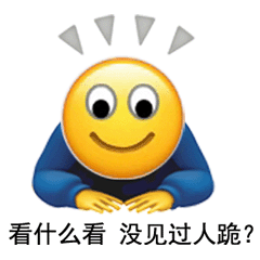 看什么看没见过人跪?发表情gif搞笑图片