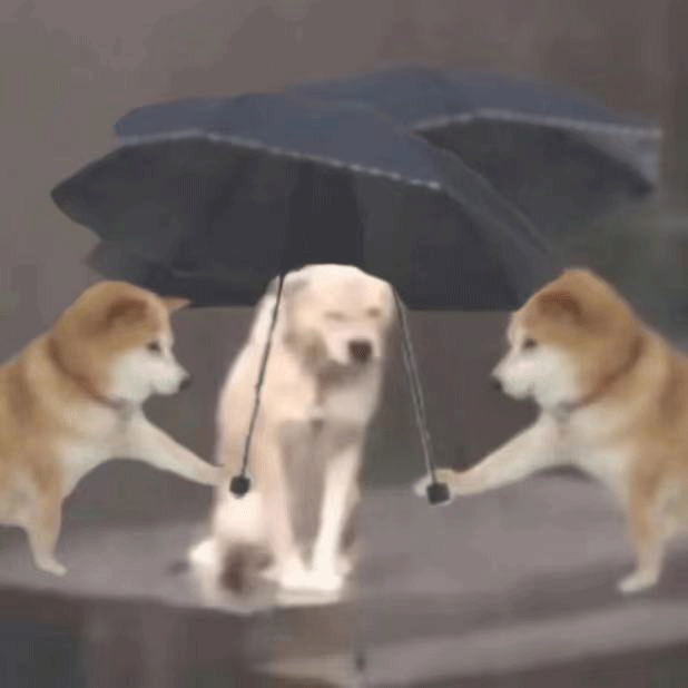 修勾撑伞表情包发表情gif搞笑图片