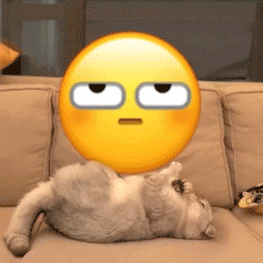 小猫咪踢无语小黄脸表情包发表情gif搞笑图片
