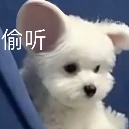 偷听发表情gif搞笑图片