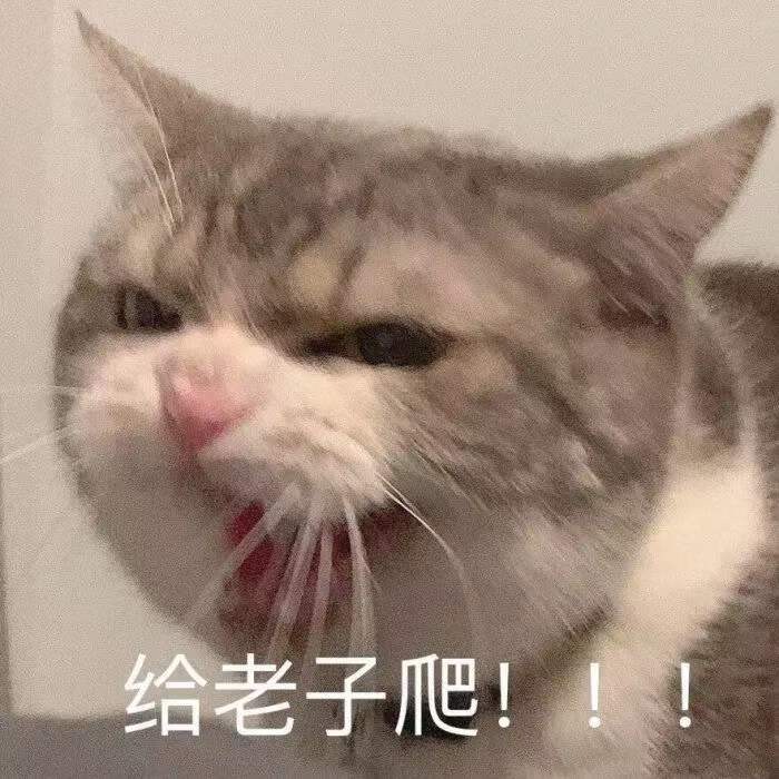 给老子爬!!!发表情gif搞笑图片