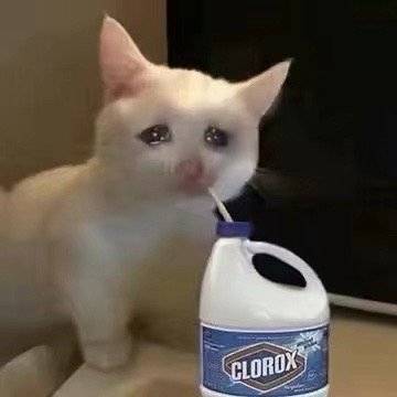 流泪猫猫头发表情gif搞笑图片