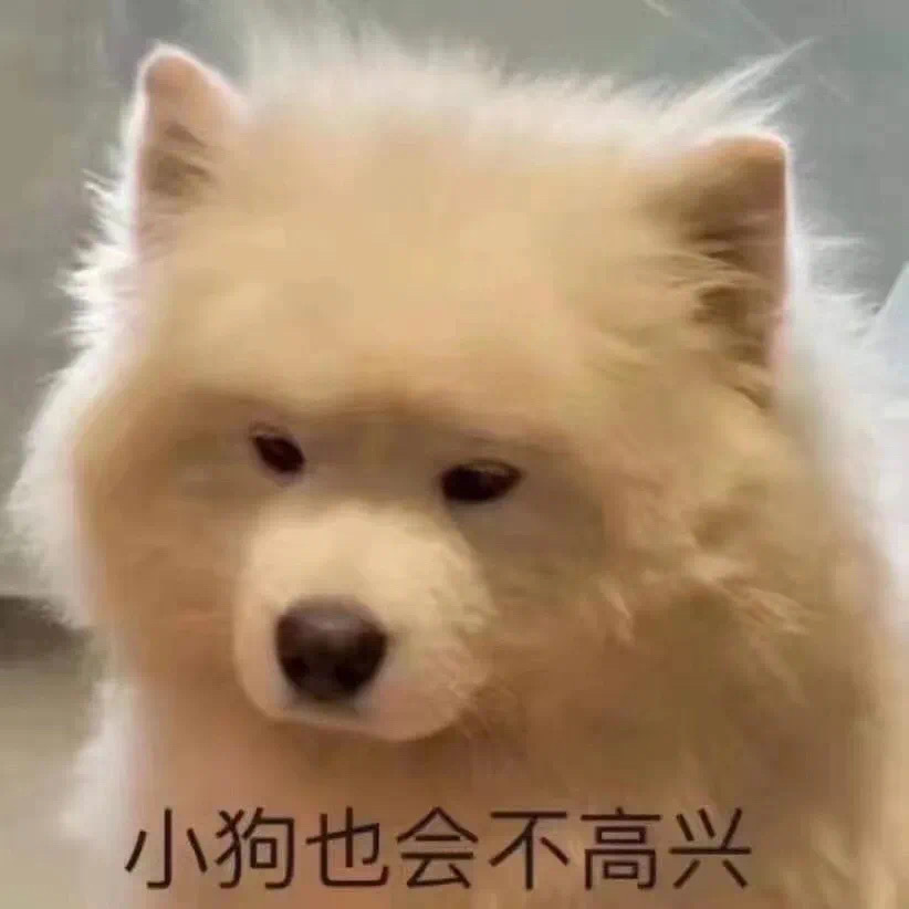 小狗也会不高兴发表情gif搞笑图片