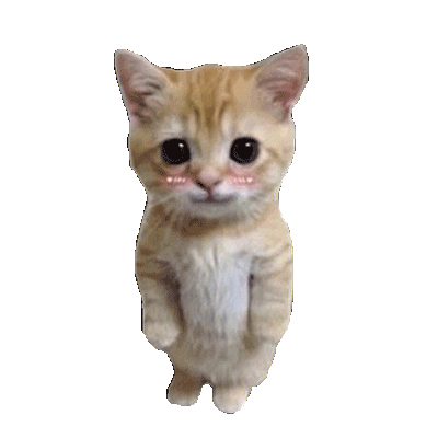 挨骂罚站小猫表情包发表情gif搞笑图片