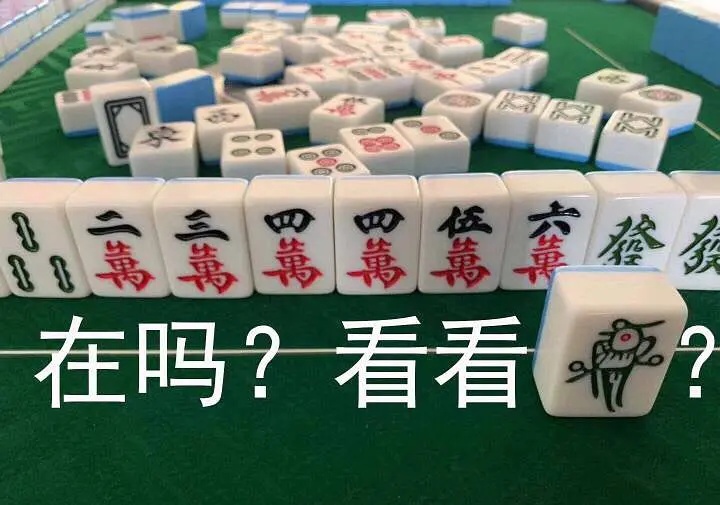 在吗？发表情gif搞笑图片