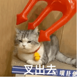 叉出去 猫咪表情包（孙一宁王思聪聊天表情包）发表情gif搞笑图片