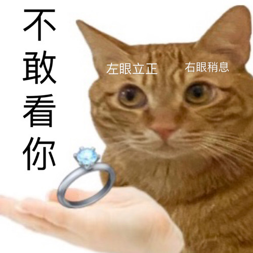 不敢看你左眼立正右眼稍息发表情gif搞笑图片