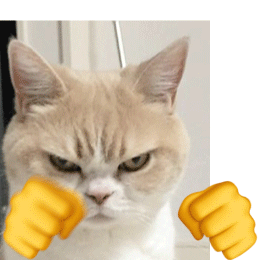 猫咪打拳动图表情包发表情gif搞笑图片