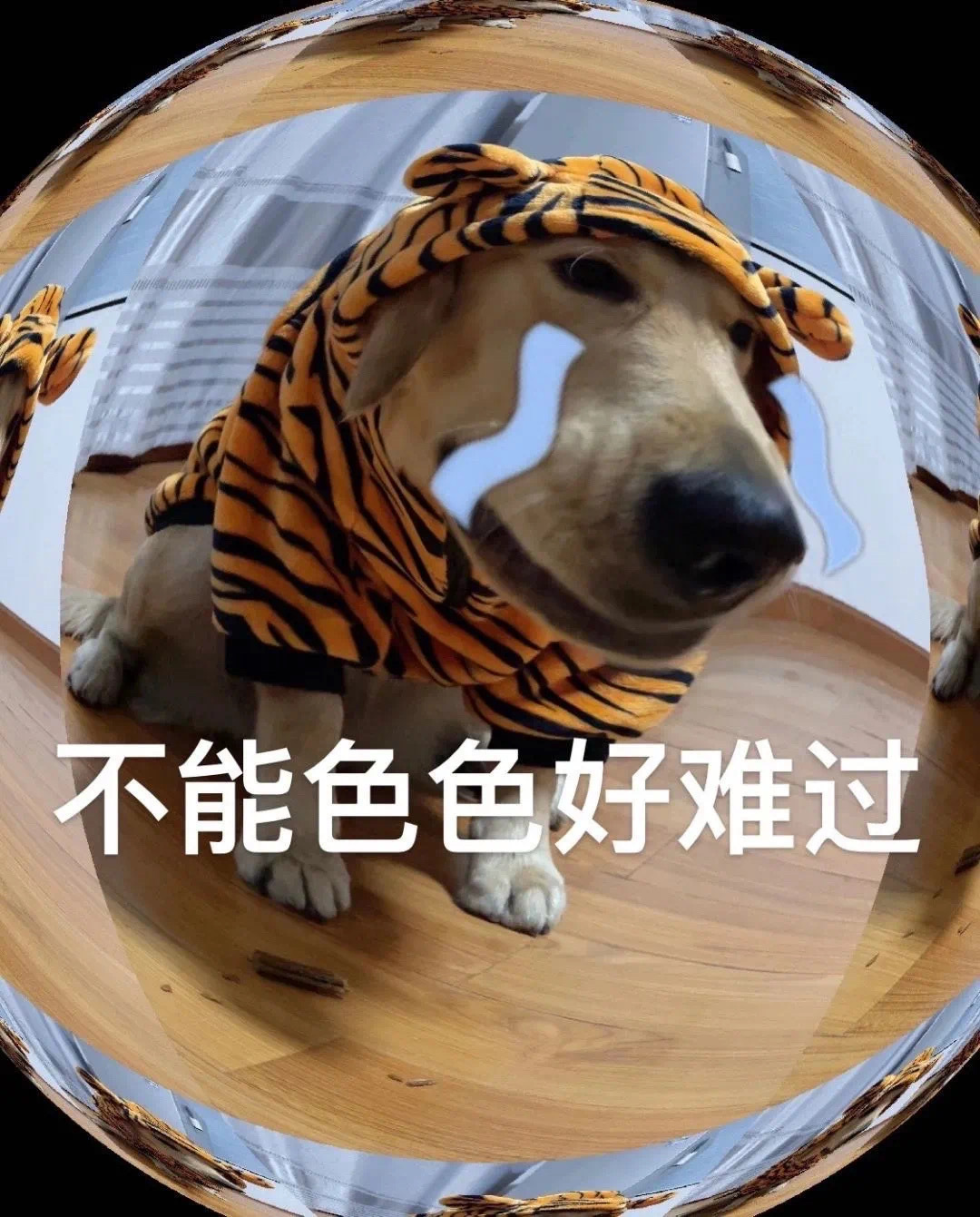 不能色色好难过发表情gif搞笑图片